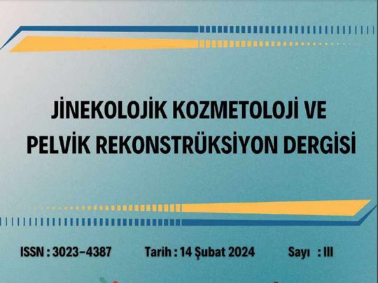 jinkoz 3. sayı kapak