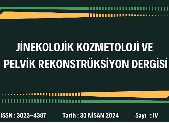 nisan bülten kapak