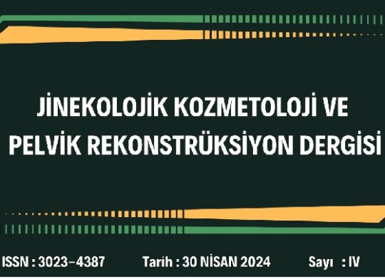 JİNKOZ Dergisi 30 Nisan 2024