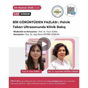 Bir Görüntüden Fazlası: Pelvik Taban Ultrasonografisinde Klinik Bakış