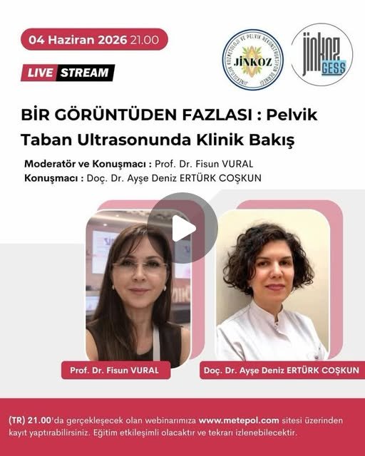 Bir Görüntüden Fazlası: Pelvik Taban Ultrasonografisinde Klinik Bakış